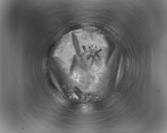 X0000071760275200607220017