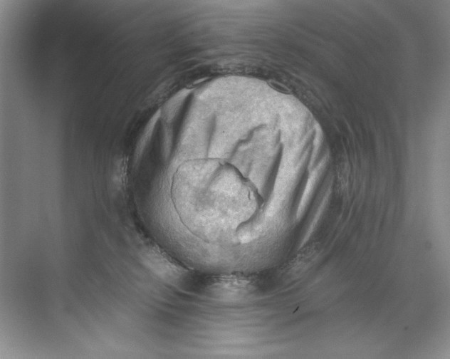 X0000071760278200607220017