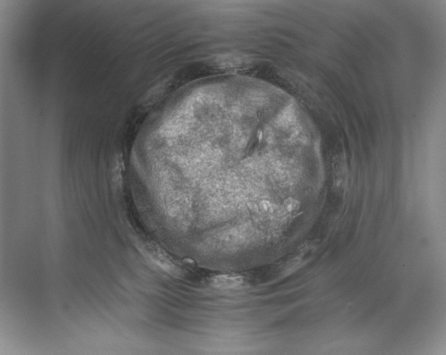 X0000071760279200607220017