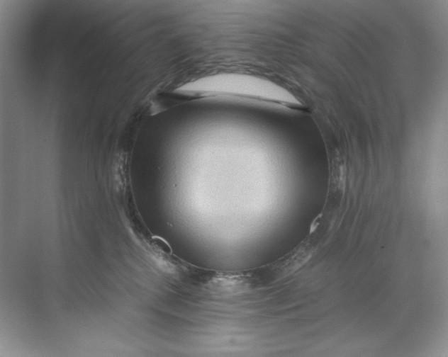 X0000071760280200607220017