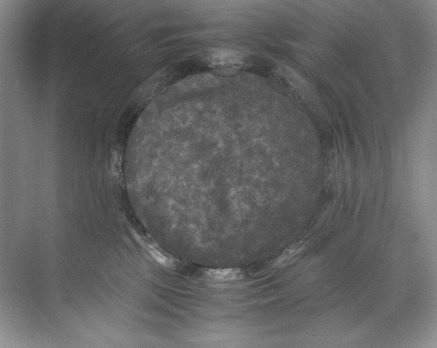 X0000071760281200607220017