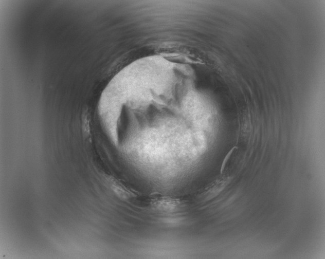 X0000071760282200607220017