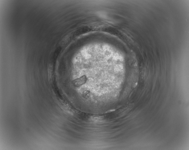 X0000071760283200607220017