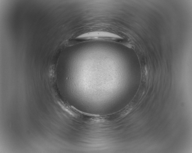 X0000071760284200607220017