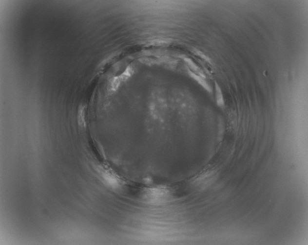 X0000071760286200607220018