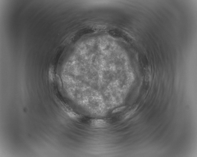 X0000071760287200607220018