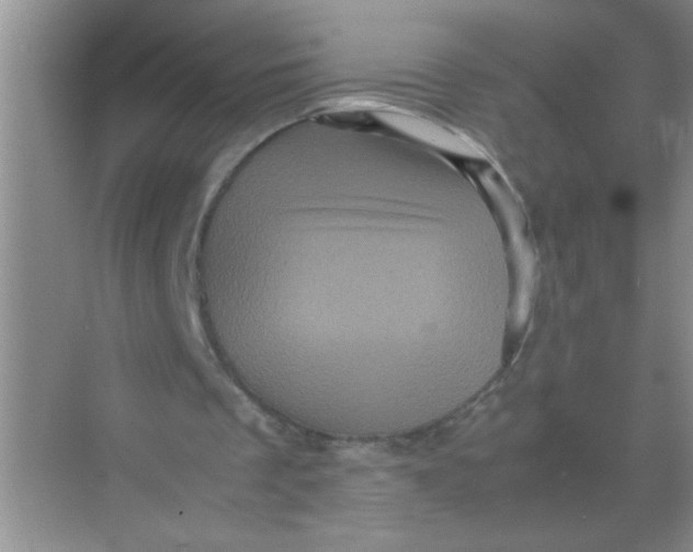 X0000071760289200607220017