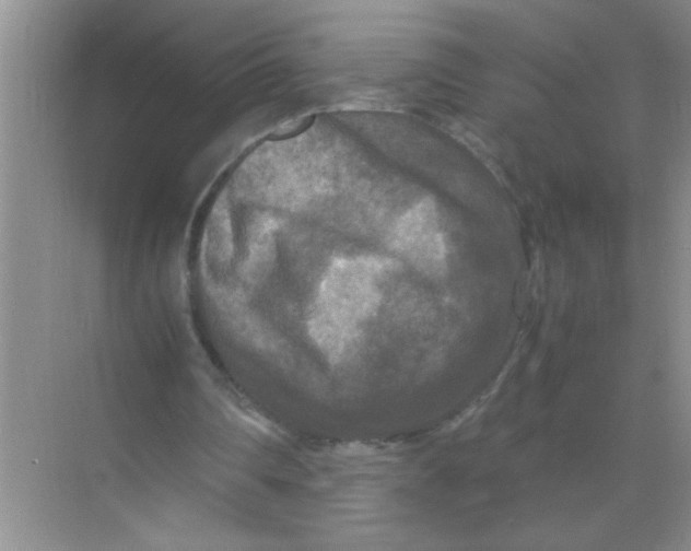 X0000071760290200607220017