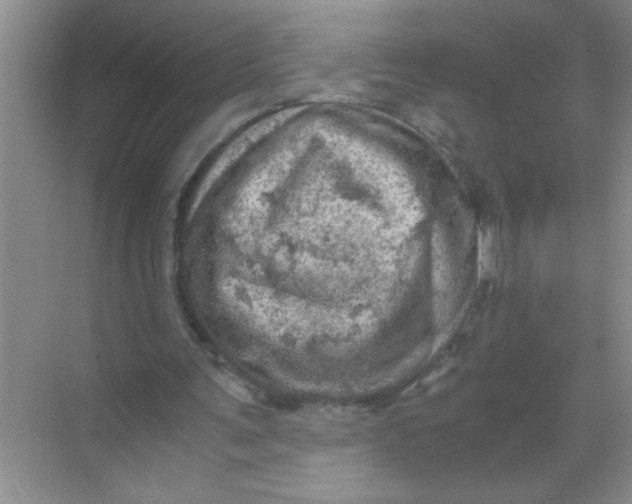 X0000071760291200607220017