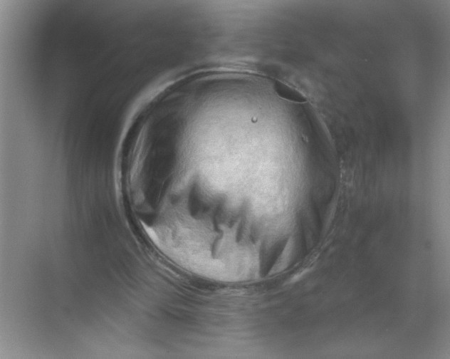 X0000071760294200607220017