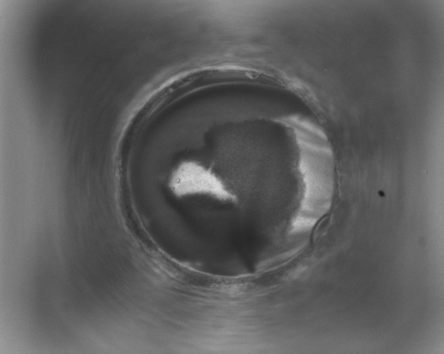 X0000071760295200607220017