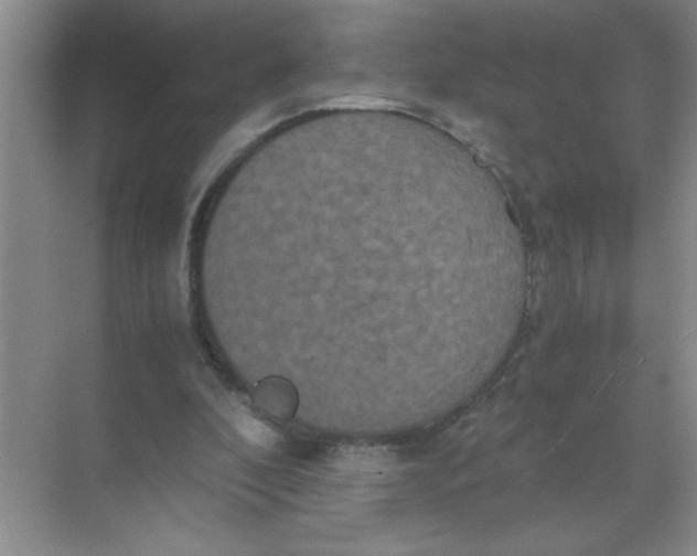 X0000071760296200607220017