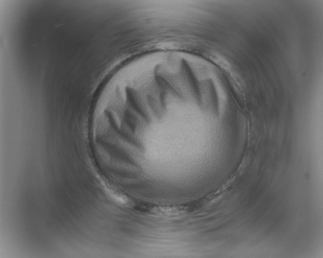 X0000071760297200607220017