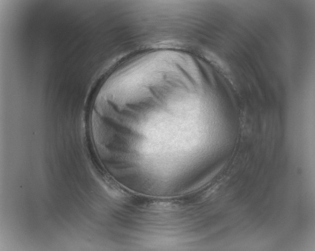 X0000071760298200607220017