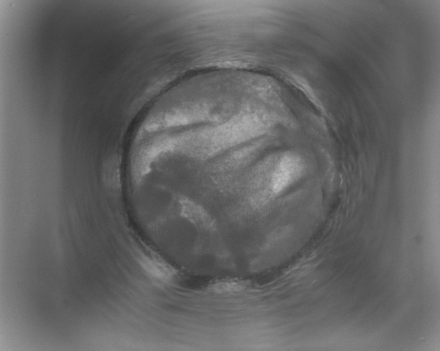 X0000071760299200607220017