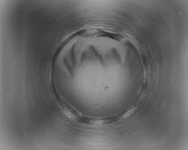 X0000071760301200607220017