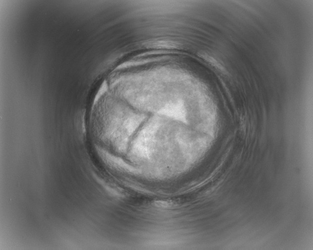 X0000071760302200607220017