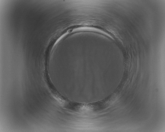 X0000071760303200607220017