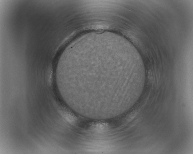 X0000071760304200607220017