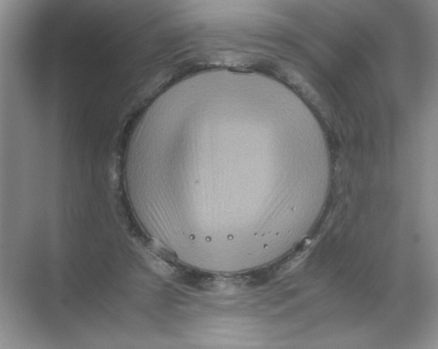 X0000071760305200607220016