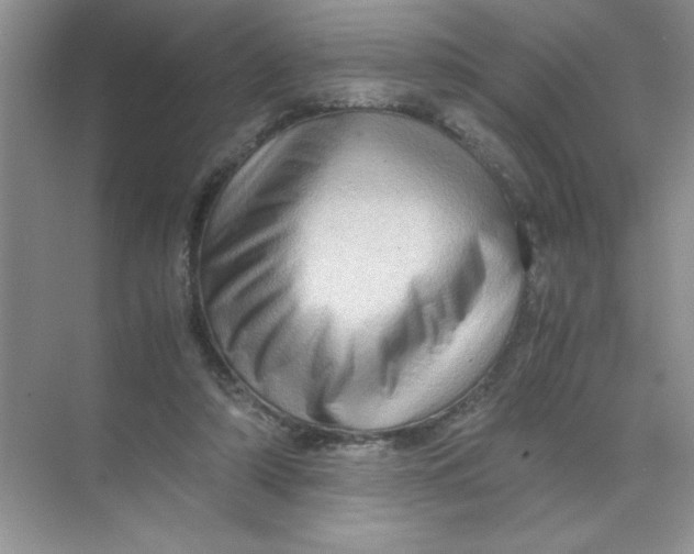 X0000071760306200607220016