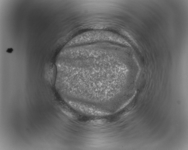 X0000071760307200607220016