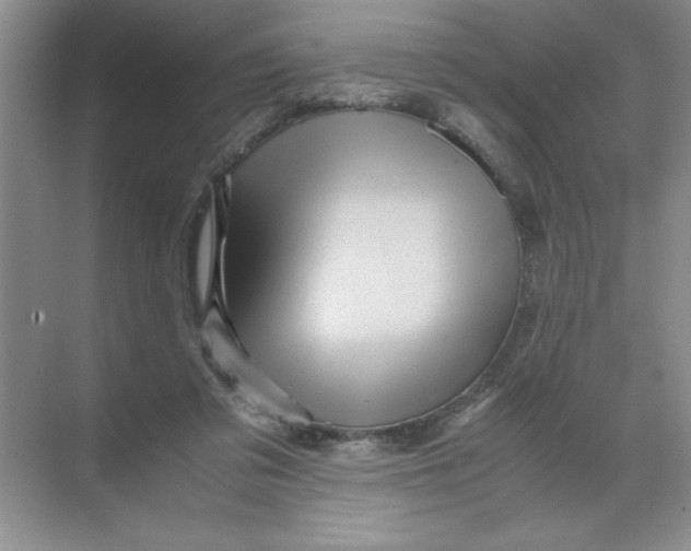 X0000071760309200607220016