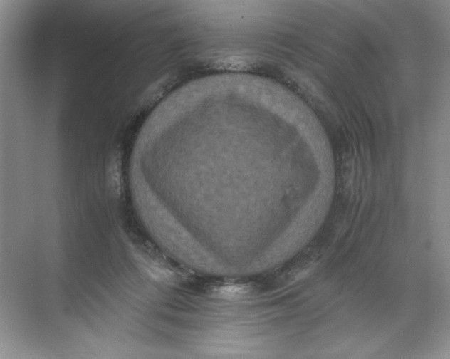 X0000071760312200607220016