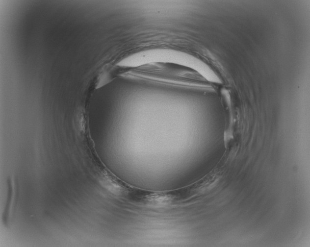 X0000071760313200607220016