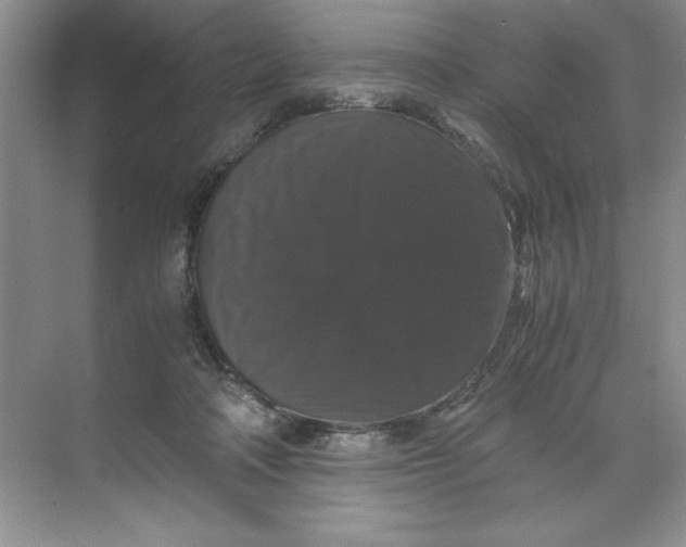 X0000071760314200607220016