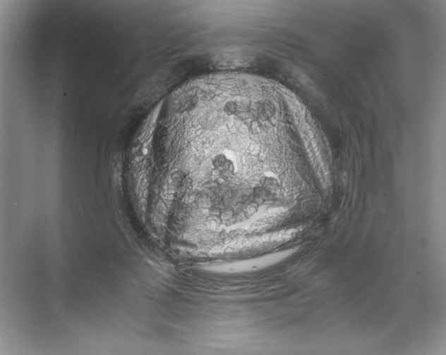 X0000071760315200607220016