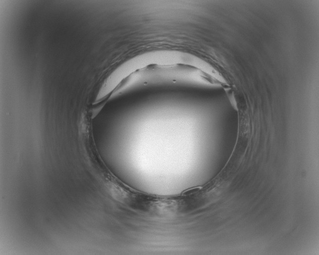 X0000071760317200607220016