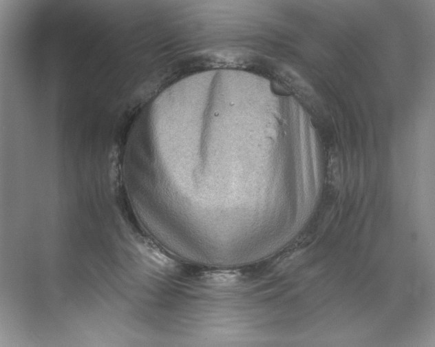 X0000071760318200607220016