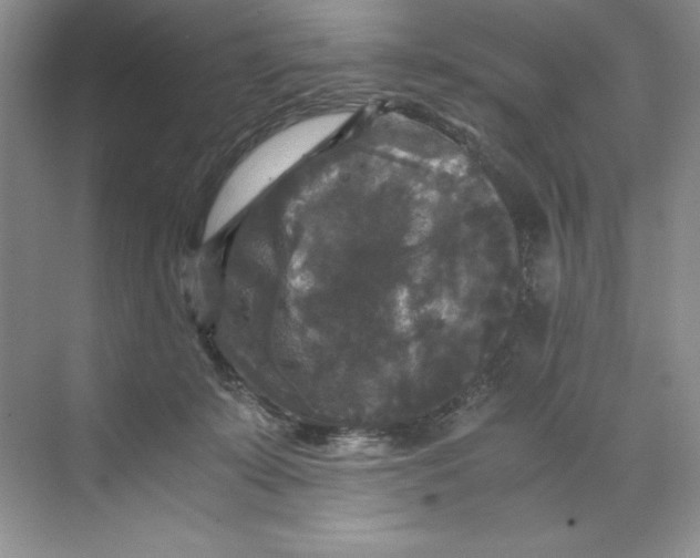 X0000071760319200607220016