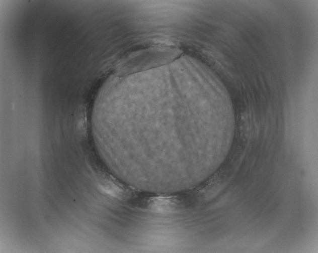 X0000071760320200607220016