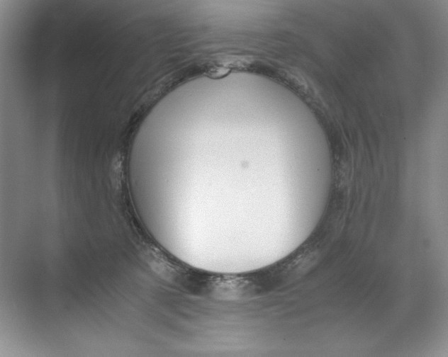 X0000071760321200607220016