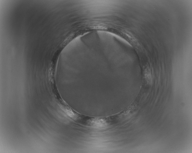 X0000071760322200607220016