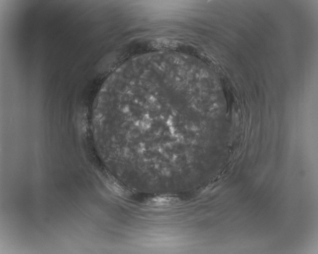 X0000071760323200607220016