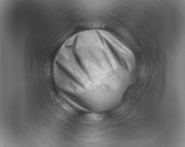 X0000071760326200607220016