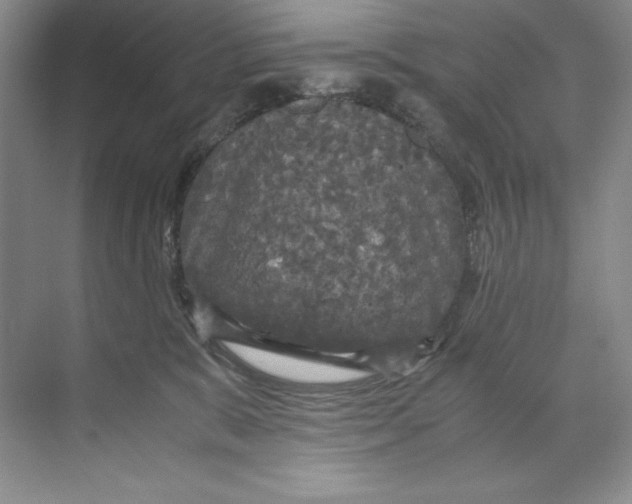 X0000071760327200607220016