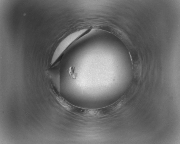 X0000071760329200607220016