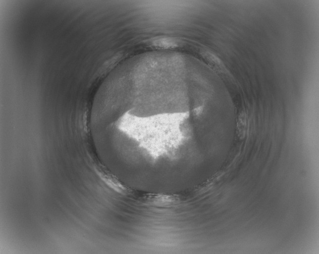 X0000071760330200607220016