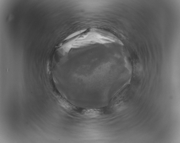 X0000071760331200607220016