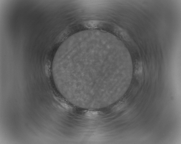 X0000071760332200607220016