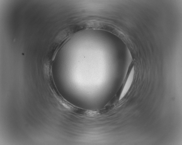 X0000071760333200607220016