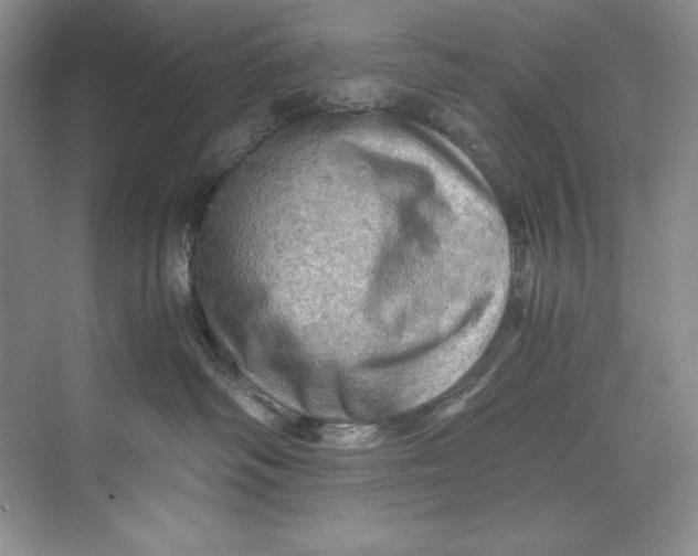 X0000071760334200607220016