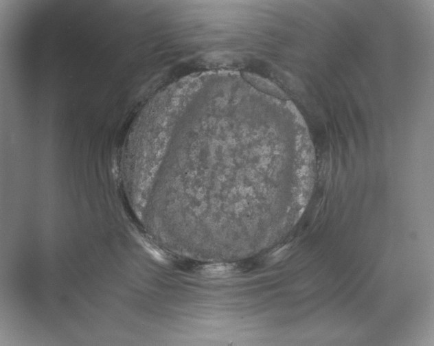 X0000071760335200607220016