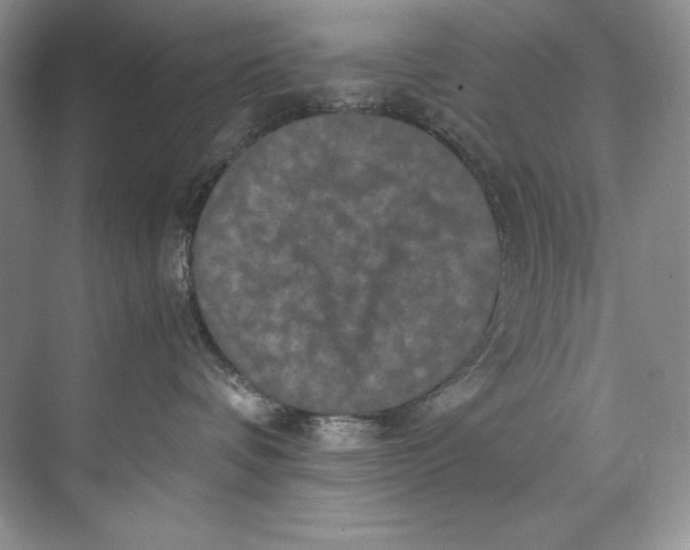 X0000071760336200607220016