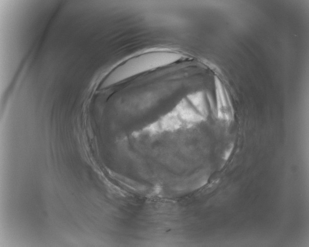 X0000071760337200607220015