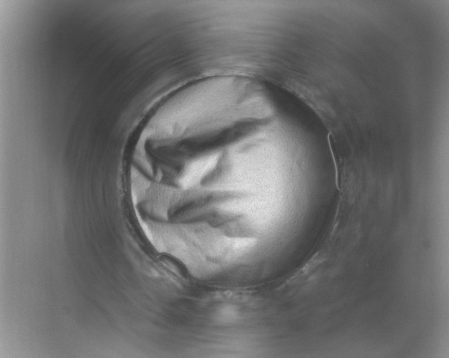 X0000071760338200607220015